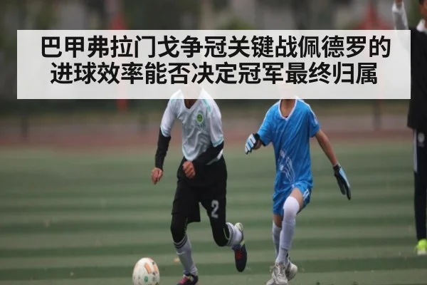 巴甲弗拉门戈争冠关键战佩德罗的进球效率能否决定冠军最终归属